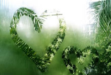 NBA即时比分直播网该怎么选？这些要点帮你找到靠谱平台