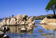 丹麦对阵瑞士的足球比赛有哪些精彩看点？